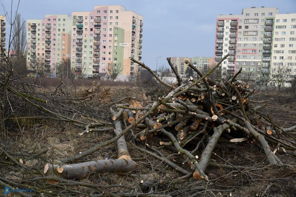 Nie będzie parku, oaz zieleni. Będzie beton (FOTO)