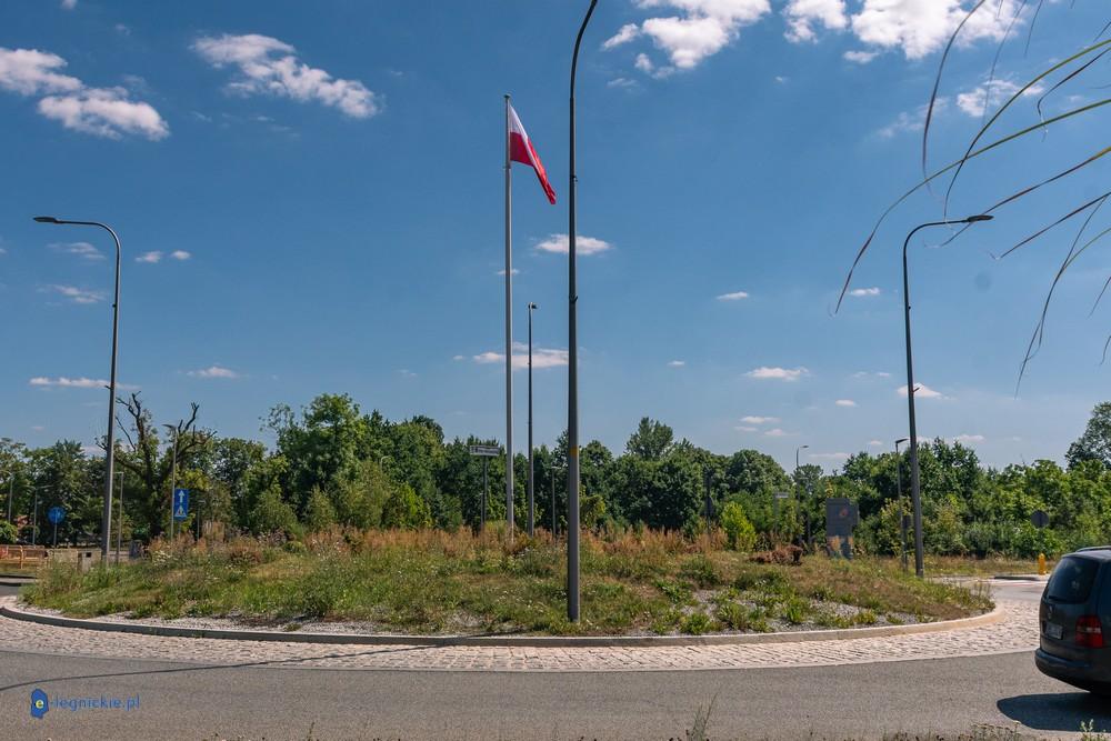 Ronda wstydu? Wielkie nazwy, a za nimi chwasty i uschnięte drzewa (FOTO)