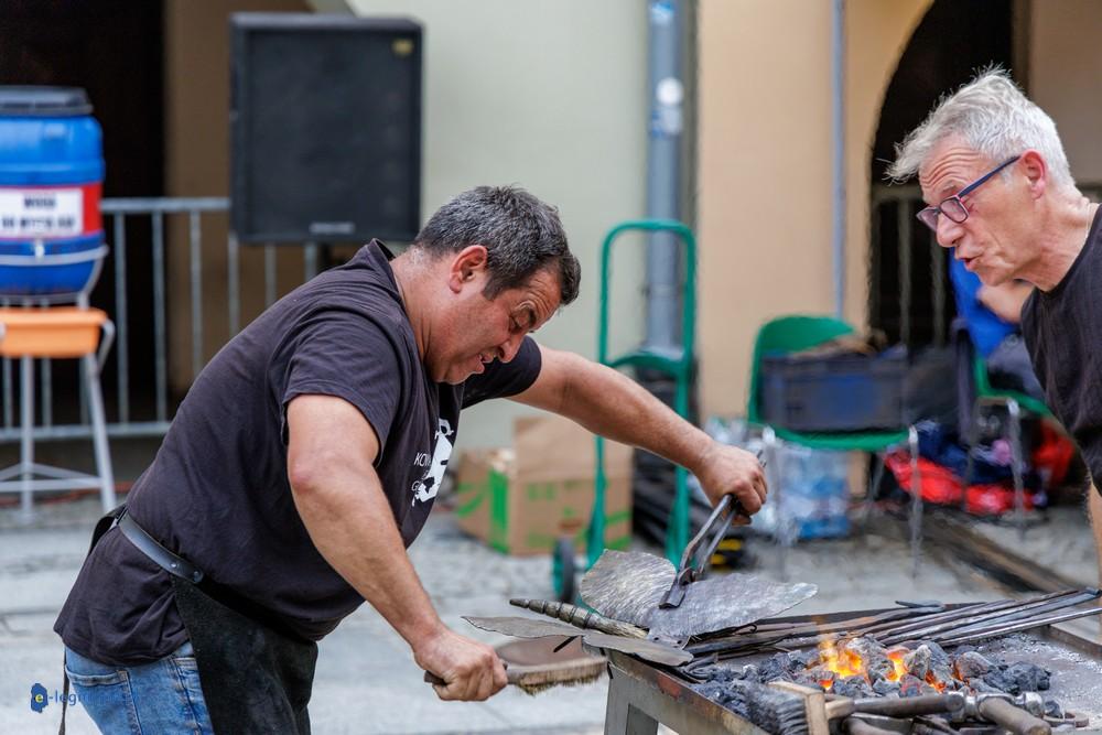 Kowale opanowali legnicki Rynek. Tak powstają „Mistrzowskie Owady” (FOTO)