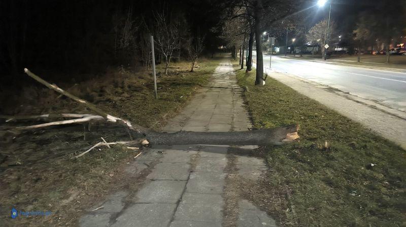 Chodnik z przeszkodami na Iwaszkiewicza (nasza interwencja)