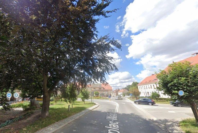 Chcą miejsc do odpoczynku w cieniu drzew. Gmina odpowiada: nie wcześniej niż w 2029 roku