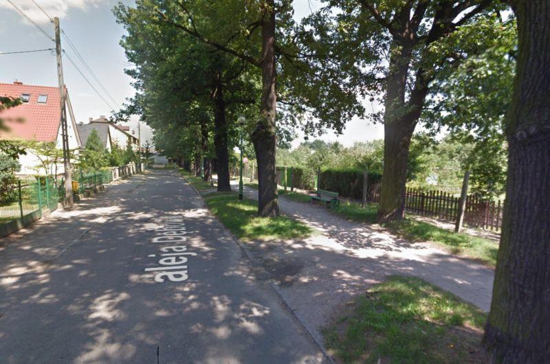Cisza przez zaniedbanie? ? Aleja Dębowa w Jaworze ponownie w centrum krytyki