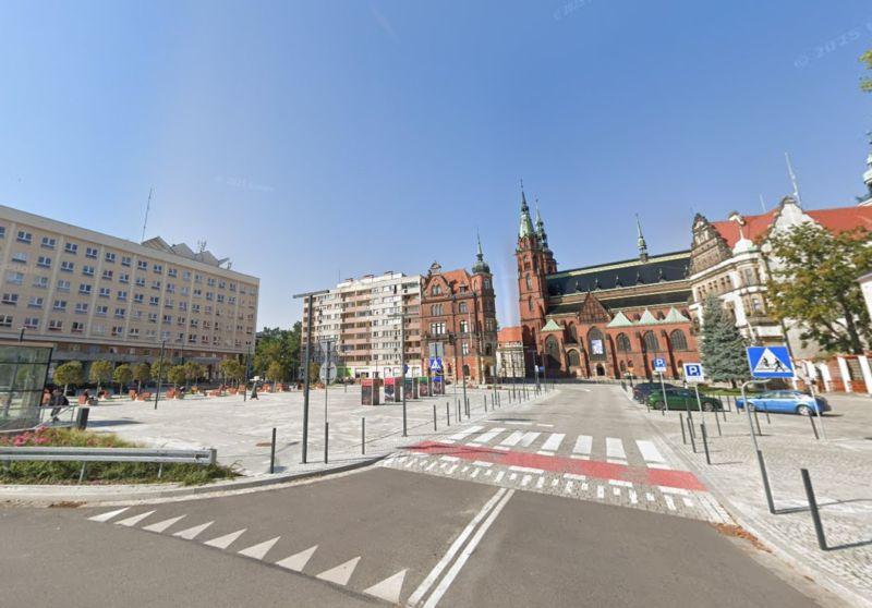 Radna domaga się zazieleniania miasta ulica po ulicy. Władze odpowiadają: analizujemy!
