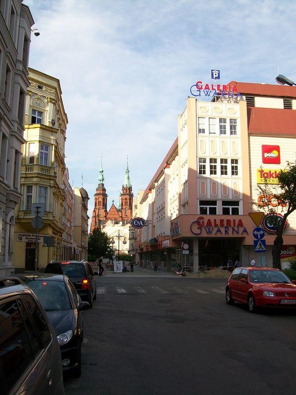 Deptak w centrum Legnicy potrzebuje zmian. Radni chcą uporządkować zieleń