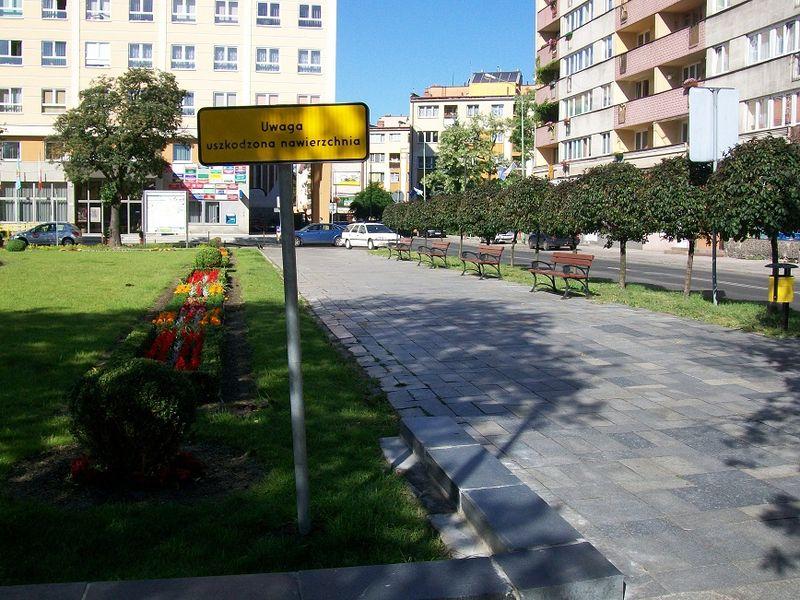 Deptak w centrum Legnicy potrzebuje zmian. Radni chcą uporządkować zieleń