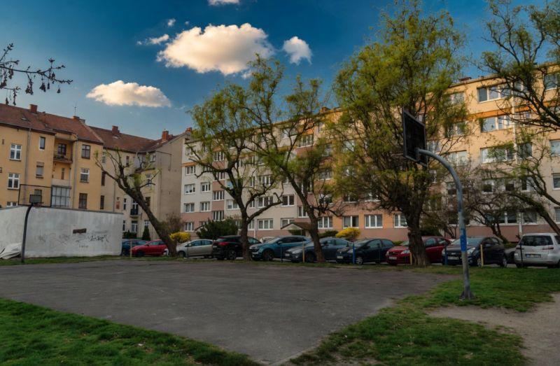 Kiedy drzewa stają się zagrożeniem. Spór o bezpieczeństwo przy Orzeszkowej narasta
