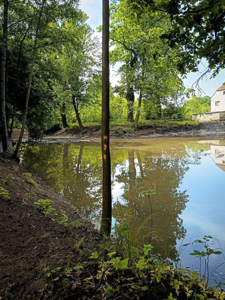 Zmodernizowano staw parkowy w Twardocicach