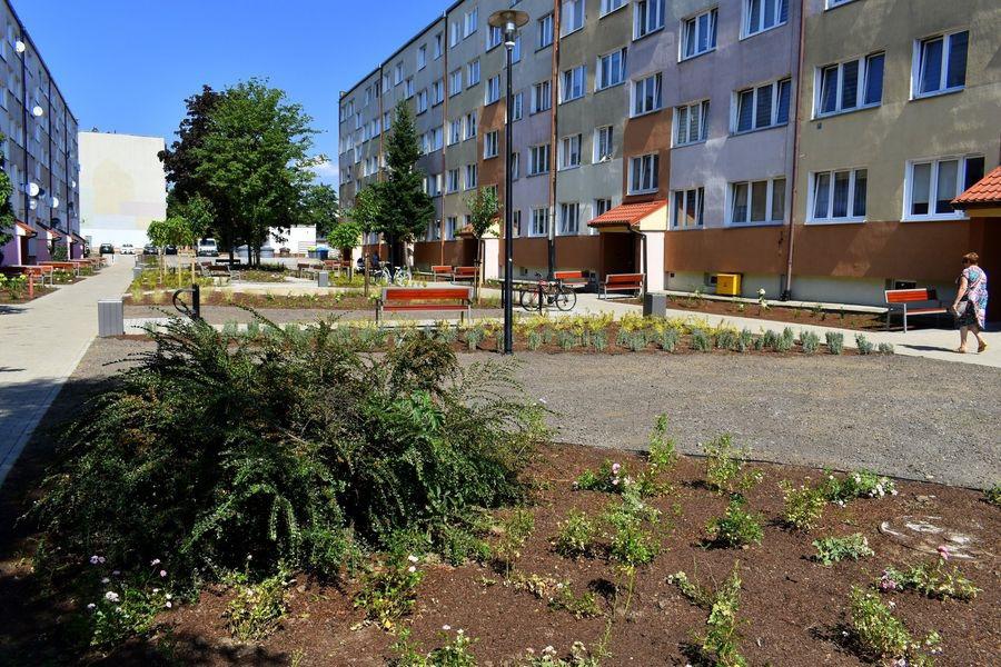 Wyładniało na Kmicica