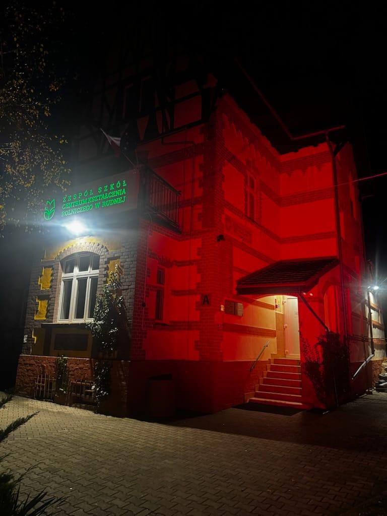 Tydzień Zdrowia Psychicznego w ZSCKR w Rudnej