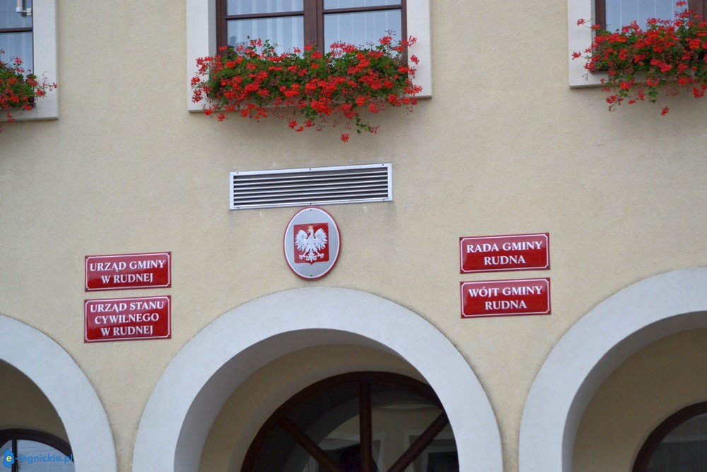 Otwarty konkurs ofert w obszarze ekologii i ochrony zwierząt oraz ochrony dziedzictwa przyrodniczego
