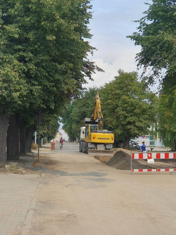 Część drzew przy ul. Kościuszki zostanie wycięta. Radni i mieszkańcy pytają, czy można było tego uniknąć