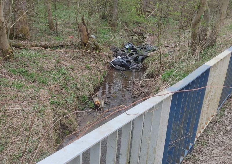 Wstrętny śmieciarz w oku „Wielkiego Brata”