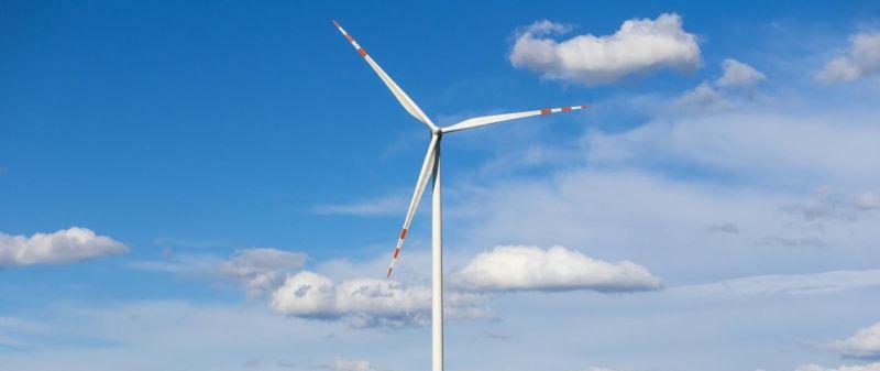 Wiatraki jak grzyby po deszczu? Ile będzie pod Złotoryją?