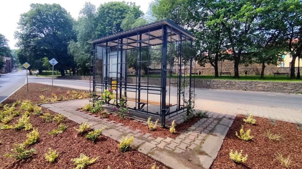 Poczekają na autobus w gąszczu pnączy