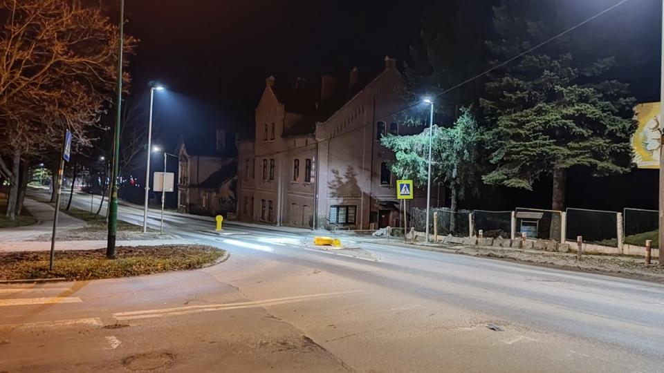 Zebra cała w bieli. Kolejne czekają na wyjście z ciemności