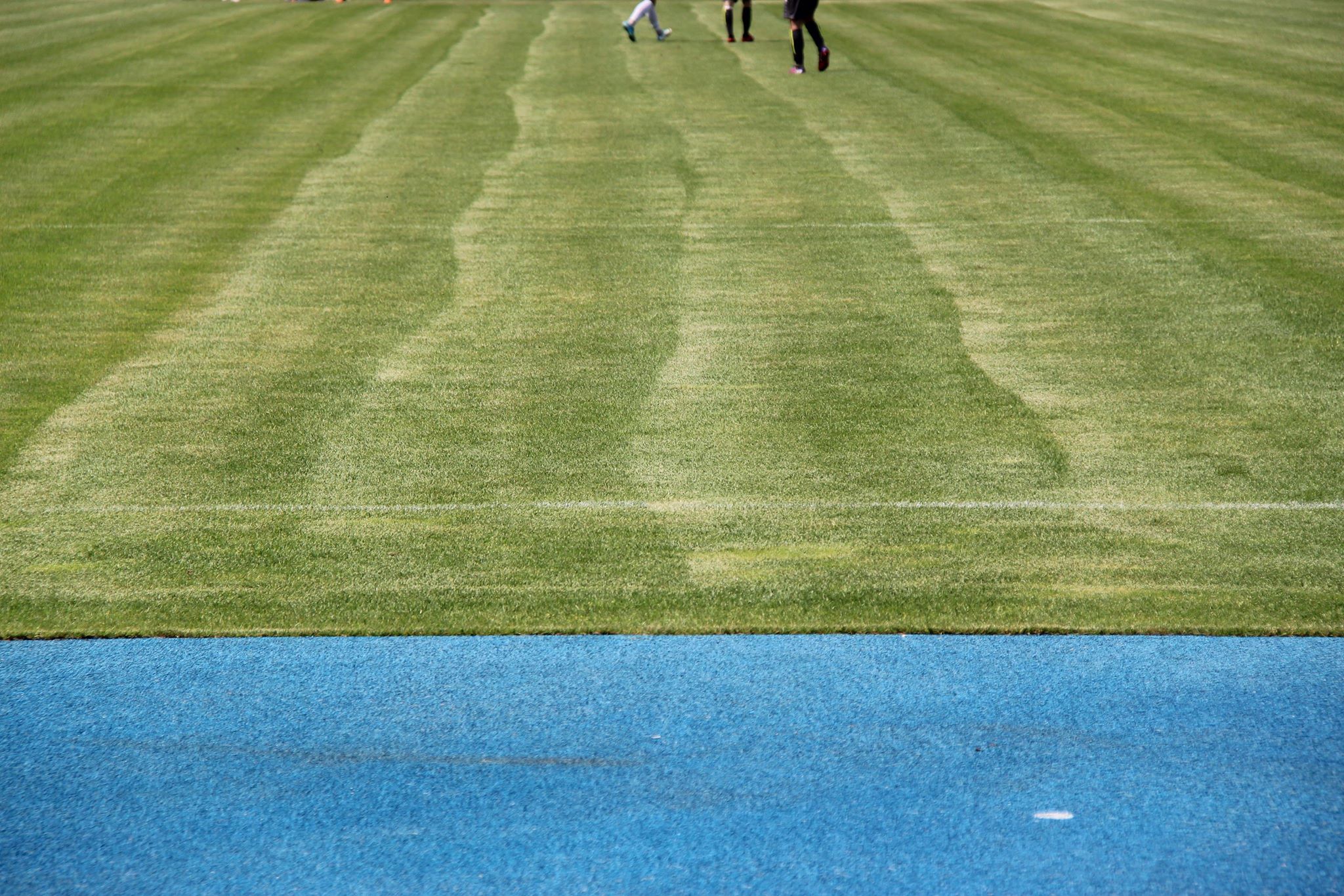 Fatalna opieka nad murawą na stadionie