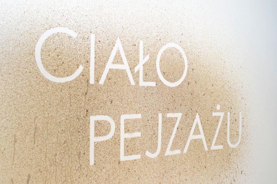 Ciało pejzażu – spotkanie autorsko-kuratorskie w Galerii Sztuki