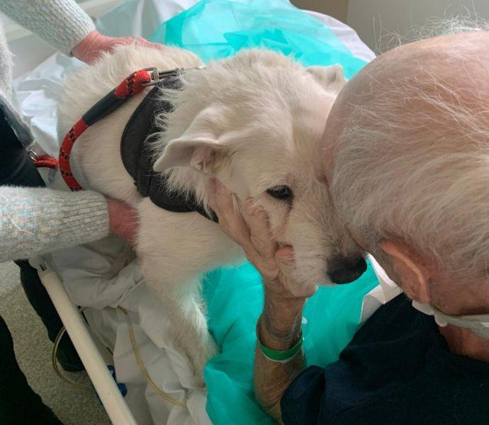 Wigilia w legnickim w Wojewódzkim Szpitalu Specjalistycznym Legnicy