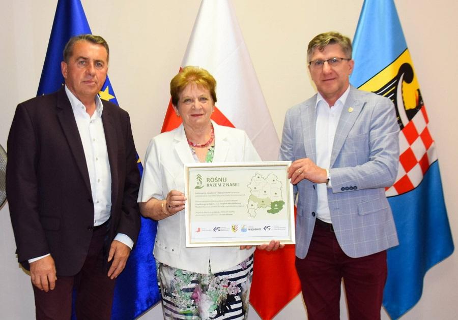 LSSE zalesi gminę Prochowice