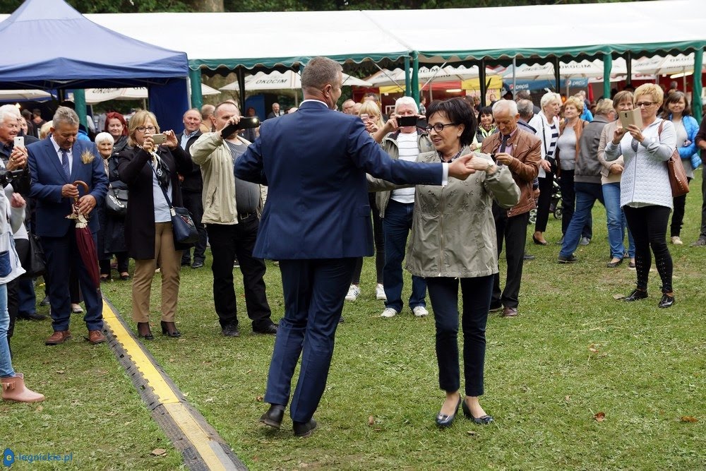 Samorządowy taniec z gwiazdami