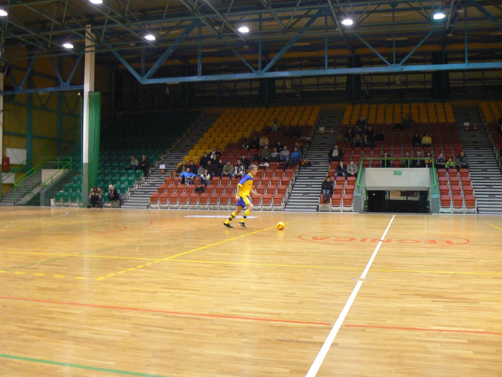 hala legnica