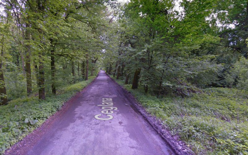 Mieszkańcy chcą odpocząć bliżej natury. Niekoniecznie tylko spacerując