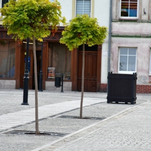 rynek-prochowice-fot-zjak05