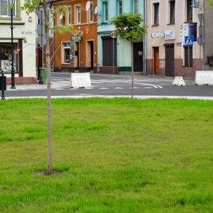rynek-prochowice-fot-zjak42