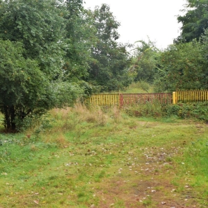 stocznia-w-scinawie-fot-am13