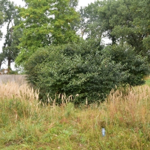 stocznia-w-scinawie-fot-am14