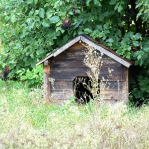 stocznia-w-scinawie-fot-am17