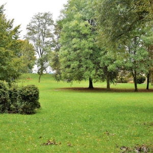 rewitalizacja-parku-w-polkowicach-fot-zjak19