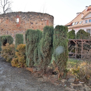 boisko-sp2-jawor-fot-ewajak60