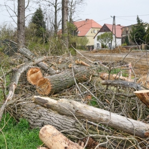 modernizacja-drogi-koskowice--fot-bslepecka_041