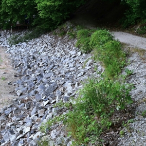 zalew-zlotoryjski-remont-fot-ewajak18