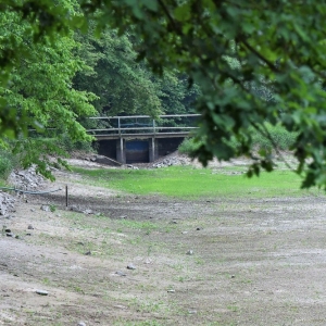 zalew-zlotoryjski-remont-fot-ewajak25