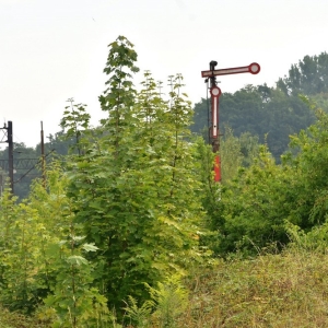 dworzec-zlotoryja-fot-zjak24