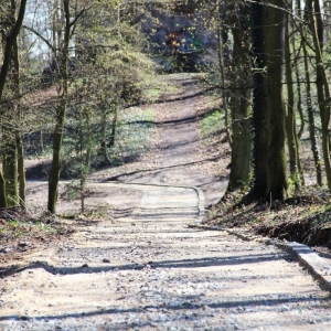 rewitalizacja-park-chojnow-fot-um20