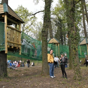 park-linowy-fot-ewajak132