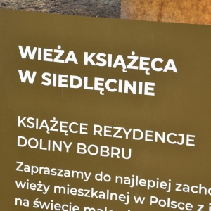 zamek-grodziec-lato0fot-zjak060