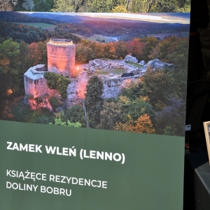 zamek-grodziec-lato0fot-zjak062