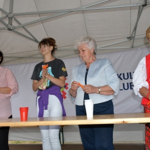 festival-zup-fot-ewajak211