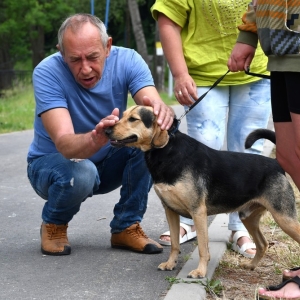 wystawa-psow-fot-ewajak050
