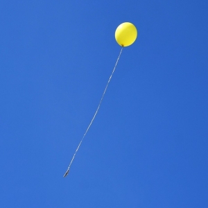 pity-w-kosmos-fot-zjak11