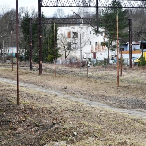 witek-w-zlotoryi-fot-zjak004