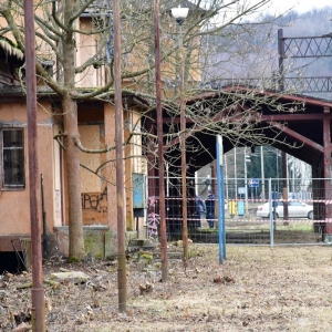 witek-w-zlotoryi-fot-zjak121