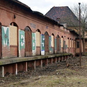 witek-w-zlotoryi-fot-zjak122