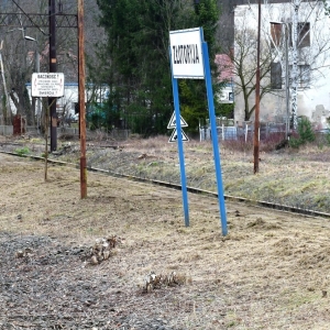 witek-w-zlotoryi-fot-zjak125