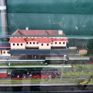 witek-w-zlotoryi-fot-zjak155