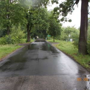 DSCN0352